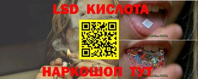 шишки Лесосибирск