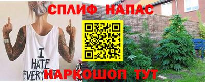 шишки Лесосибирск
