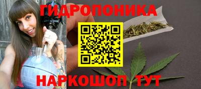 шишки Лесосибирск