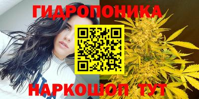 амф Ливны