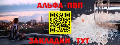 шишки Лесосибирск