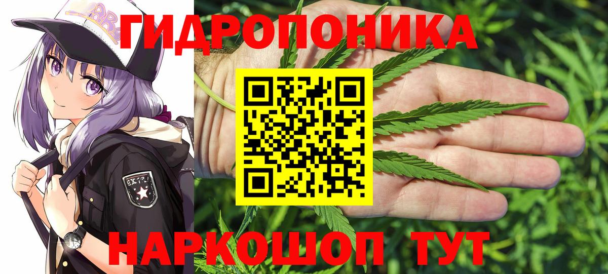 Конопля Amnesia  Вход с VPN  Марихуана сатива  Донской 